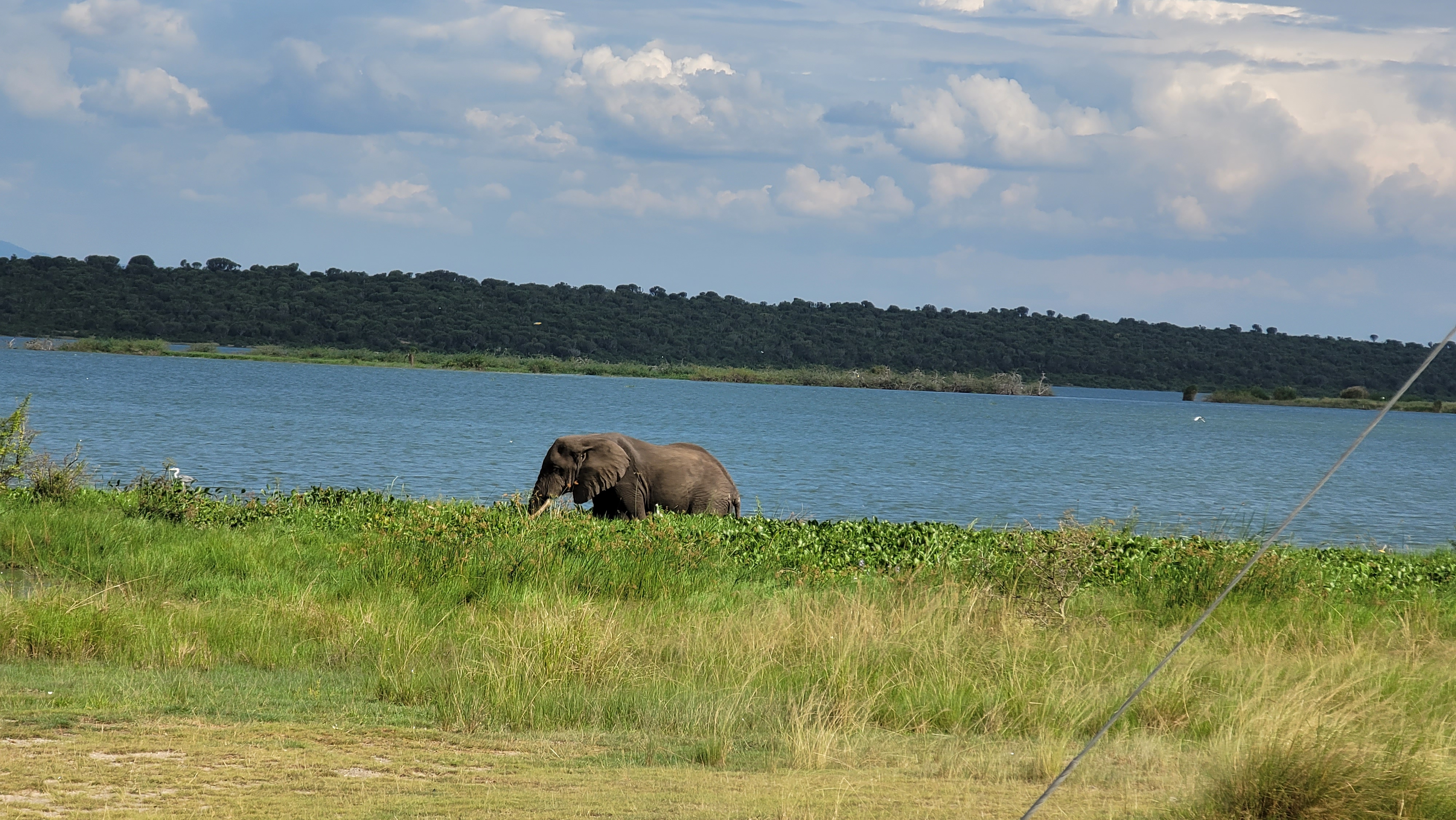 Tanzania safari destination